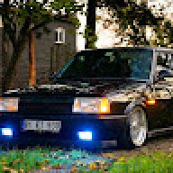 Ysn8181