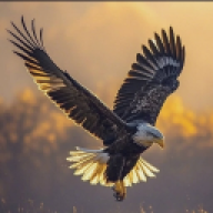 khaledmado1