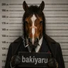 bakiyaru