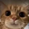Bora1wq