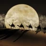 mohamedG10